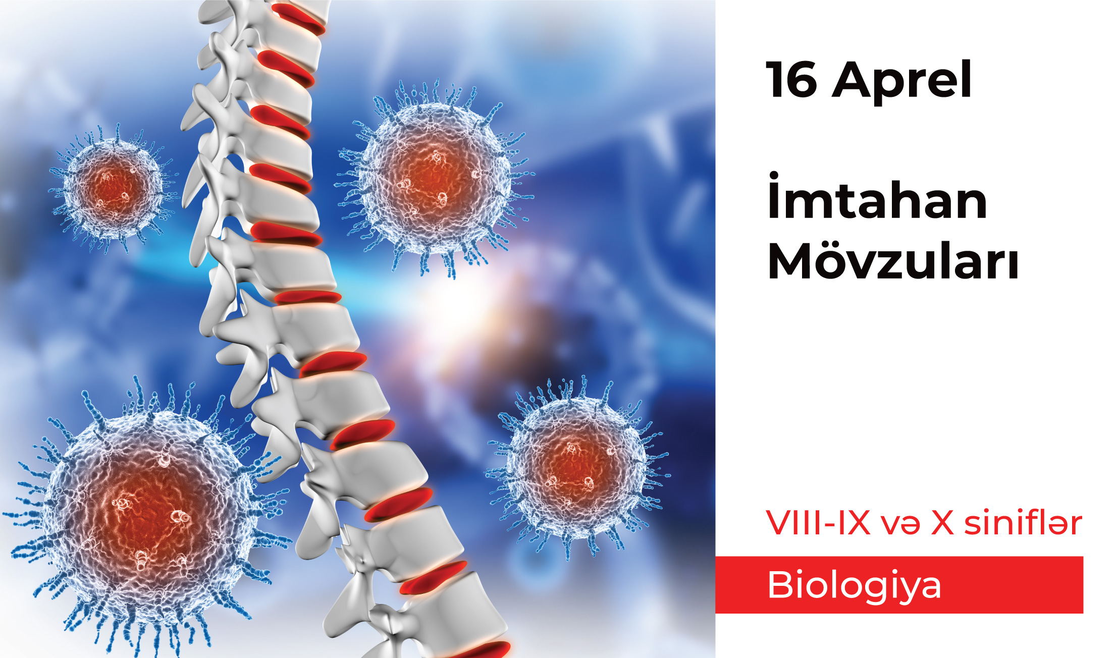 Biologiya 8, 9 və 10-cu siniflər